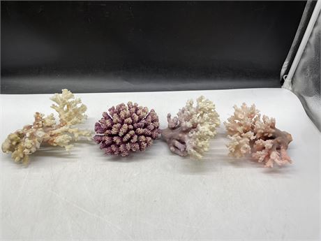 COLLECTION OF 4 PIECES OF CORAL