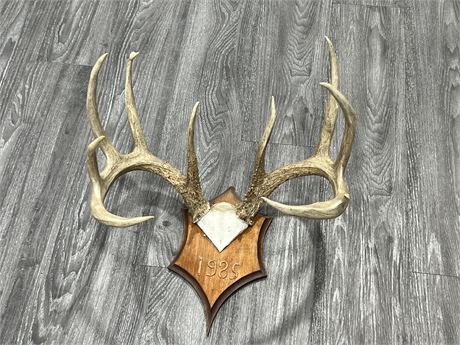ANTLER WALL MOUNT - 18” WIDE