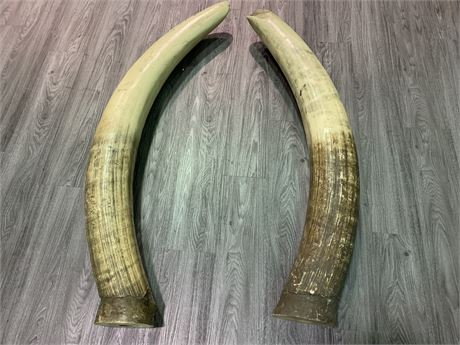 FAUX IVORY TUSKS