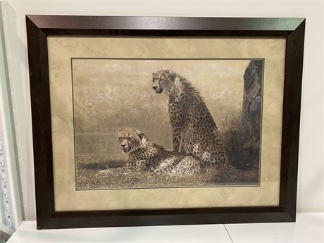 LARGE CHEETAH PICTURE (46”X36”)
