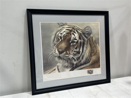MICHAEL PAPE SIGNED / NUMBERED TIGER PRINT (35”x32”)