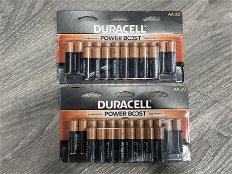 (NEW) DURACELL AA20 BATTERY PACKS
