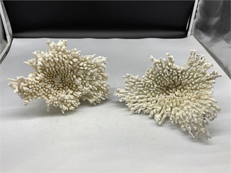 2 LARGE PIECES OF CORAL