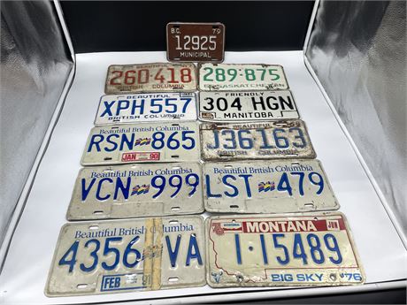 11 MISC LICENSE PLATES