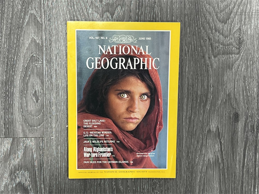 Urban Auctions - 1985 NATIONAL GEOGRAPHIC VOL.167 No.6 “HAUNTED EYES”