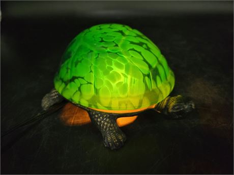 LIGHT UP TURTLE (Working)