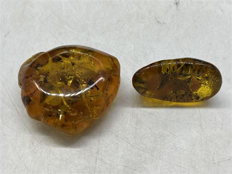AMBER RESIN FOSSILS W/NATURAL INSECTS