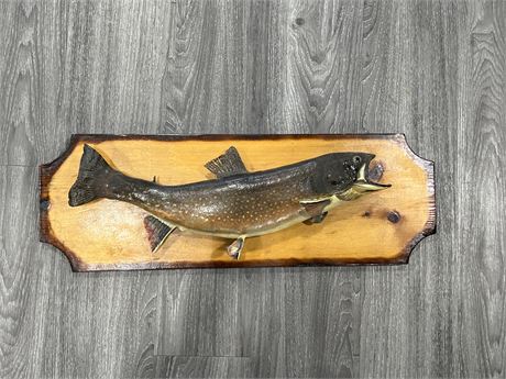 VINTAGE TAXIDERMY TROUT ON MOUNT - 21” LONG