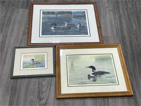 3 CANADIAN WATER-FOUL PRINTS SIGNED & NUMBERED (LARGEST (26”x21”)