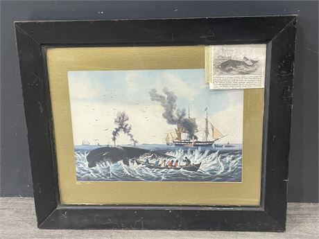 ANTIQUE FRAMED VICTORIAN COLOURED WHALING LITHOGRAPH 1880’S (20”x16”)