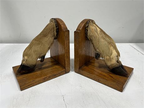 1930s MOUNTAIN GOAT HOOF TAXIDERMY BOOK ENDS (7.5” tall)