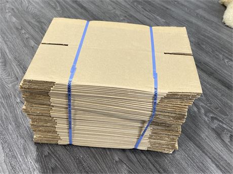 50 CARDBOARD BOXES (11”x6.75”)