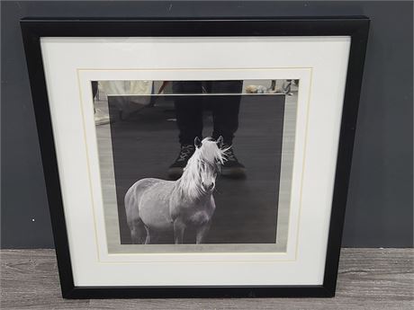 HORSE PICTURE FRAMED (21.5"x21.5")
