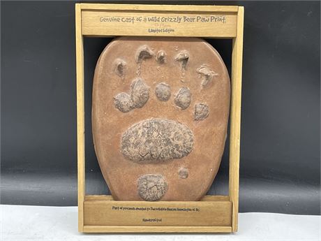 #’D + SIGNED GENUINE CAST OF A WILD GRIZZLY BEAR PAW PRINT 10”x14”