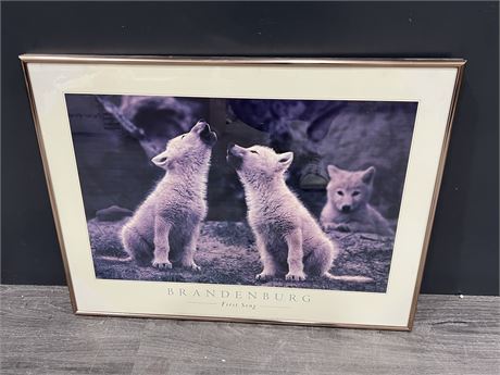 1987 FRAMED WOLF PICTURE (24”x18”)