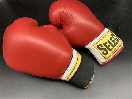 SELECT BOXING GLOVES