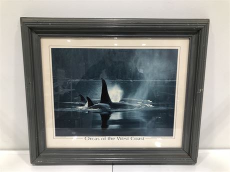 FRAMED PRINT ORCAS OF THE WEST COAST (20”x24”)