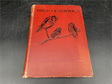 BIRDS OF AMERICA 1936 EDITION - T. GILBERT PEARSON