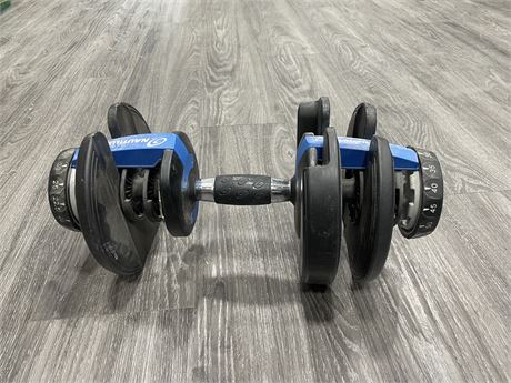 NAUTILUS ADJUSTABLE DUMBBELL WEIGHTS
