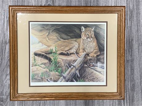 SIGNED COUGAR PICTURE (22.5”x18.5”)