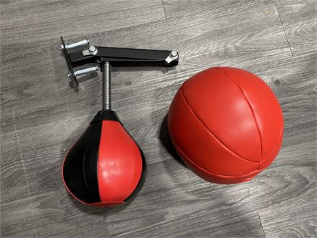WALL/CEILING MOUNT PUNCHING BAG AND MEDICINE BALL