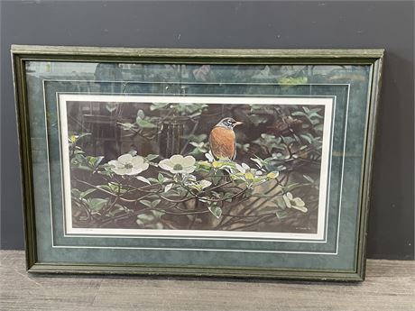 TERRY ISAAC BACKYARD ROBINS SIGNED / NUMBERED PRINT 33”x22”