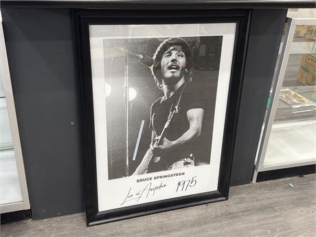 FRAMED BRUCE SPRINGSTEEN LIVE IN AMSTERDAM 1975 PICTURE - 40”x31”