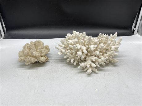 LARGE PIECE OF CORAL + SMALLER PIECE