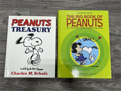 PEANUTS TREASURY & BIG BOOK OF PEANUTS W / DAILY STRIPS FROM THE 1970’S