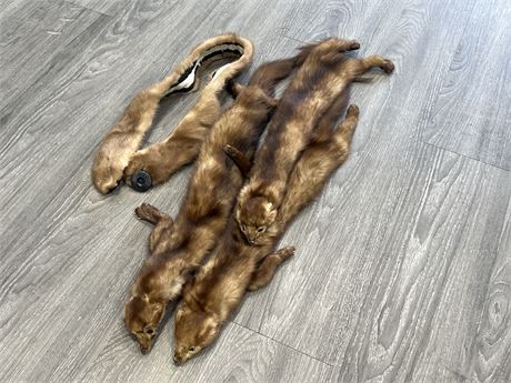 3 VINTAGE TAXIDERMY RODENTS + FUR PIECE