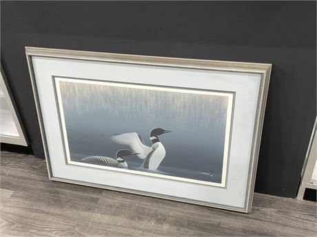 SIGNED & NUMBERED GREAT NORTHERN DIVERS PRINT - 35”x25”