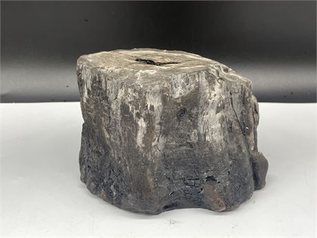 UNIQUE SLAB OF PETRIFIED WOOD - 6” TALL 4” WIDE