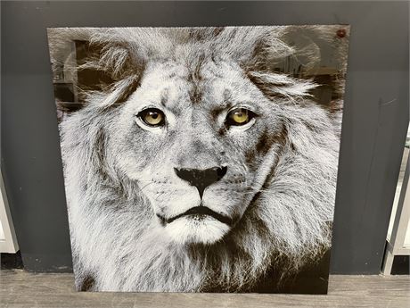 KING OF THE JUNGLE GLASS LION PICTURE 31”x31”