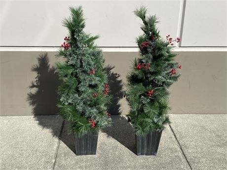 2 CHRISTMAS TREES W/LIGHTS (50” tall)