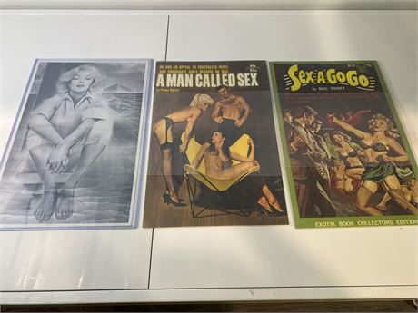 3 MISC. POSTERS (17”x12”)