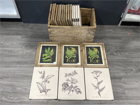 21 NEW FLOWER / FERN WALL DECOR PRINTS IN VINTAGE CRATE