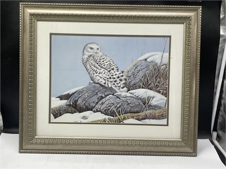 SNOWEY OWL FRAMED PRINT (24”x20”)