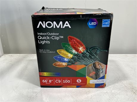 NOMA INDOOR / OUTDOOR QUICK CLIPS LIGHTS