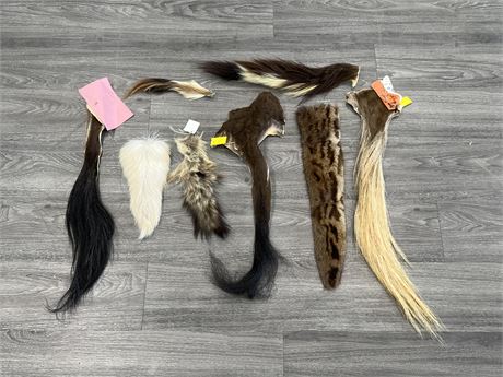 8 GENUINE TAXIDERMY TAILS - LARGEST IS 29”