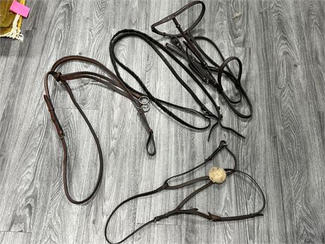 HORSE SIZE - RUNNING MARTINGALE, FIGURE 8 NOSE BAND, HEADSTALL W/BRAIDED REINS