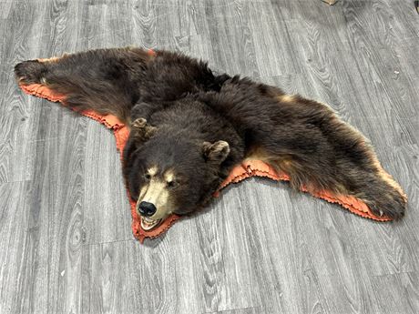 TAXIDERMY BEAR DISPLAY (63” wide)