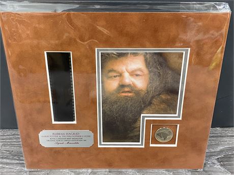 HARRY POTTER LIMITED EDITION FILM & COIN DISPLAY (Rubeus Hagrid)