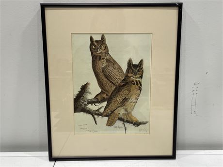 AUDUBON GREAT HORNED OWL BY TORY PETERSON PORTFOLIO PRINT (13”X16”)