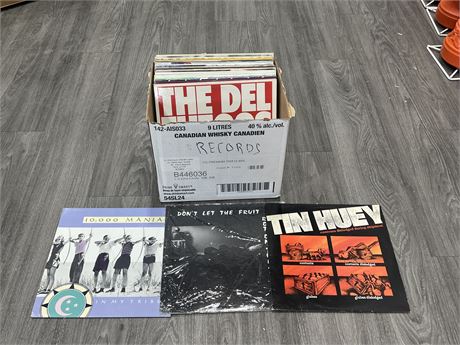 BOX OF 32 PUNK & NEW WAVE RECORDS - VG+ & UP