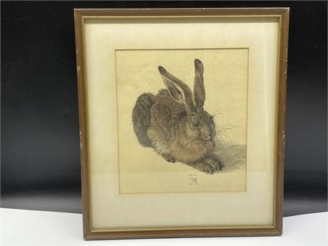 ANTIQUE PRINT YOUNG HARE 1502 BY ALBRECHT DURER 13”x15”