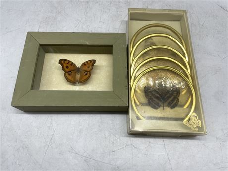 BUTTERFLY COASTERS AND SHADOW BOX
