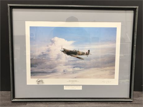 “REACH FOR THE SKIES” BY ROBERT TAYLOR 22” X 29” (FRAMED)