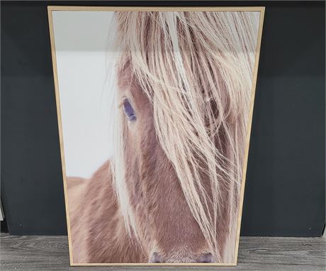 FRAMED HORSE PICTURE
