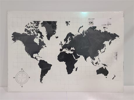 WORLD MAP (37x26")