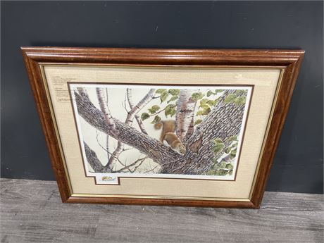 SIGNED / NUMBERED 1991 CHRISTINE WILSON SQUIRREL PRINT #928/2950 (26”x20”)